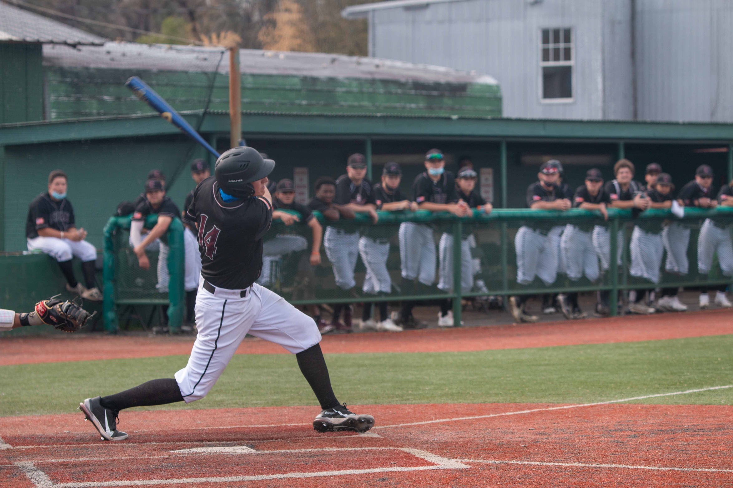 #19 Baseball Outlasts #2 Trinity In Sunday Slugfest, 14-12