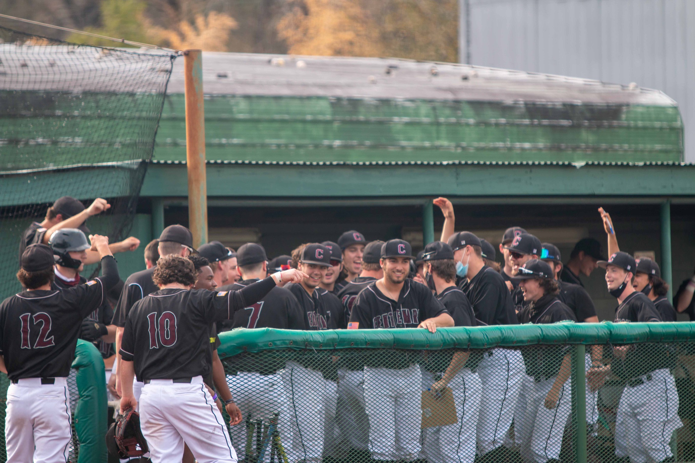 #17 Baseball Ties School Record for Longest Winning Streak in DH Sweep of Dallas
